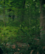 SSBR00422.png