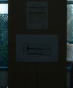 SSBR00526.jpg
