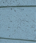 SSBR00960.jpg