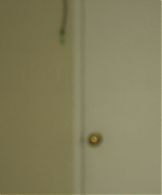 SSBR2261.png