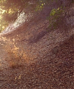 SSBR450.jpg