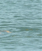SSBR00586.jpg